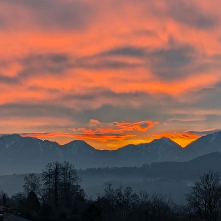 Am Eichholz Galerie & Art-Hotel Мурнау-ам-Штаффельзее Экстерьер фото